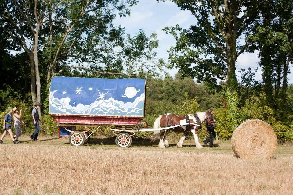 People walking next to a horse pulling a decorated wagon in a field.
