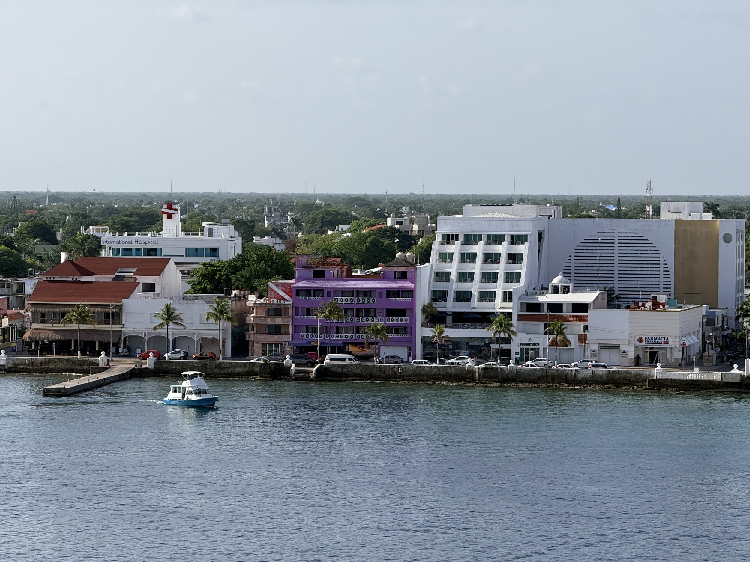 The Complete Wave Season Cruise Booking Guide for LGBTQ+ Travelers