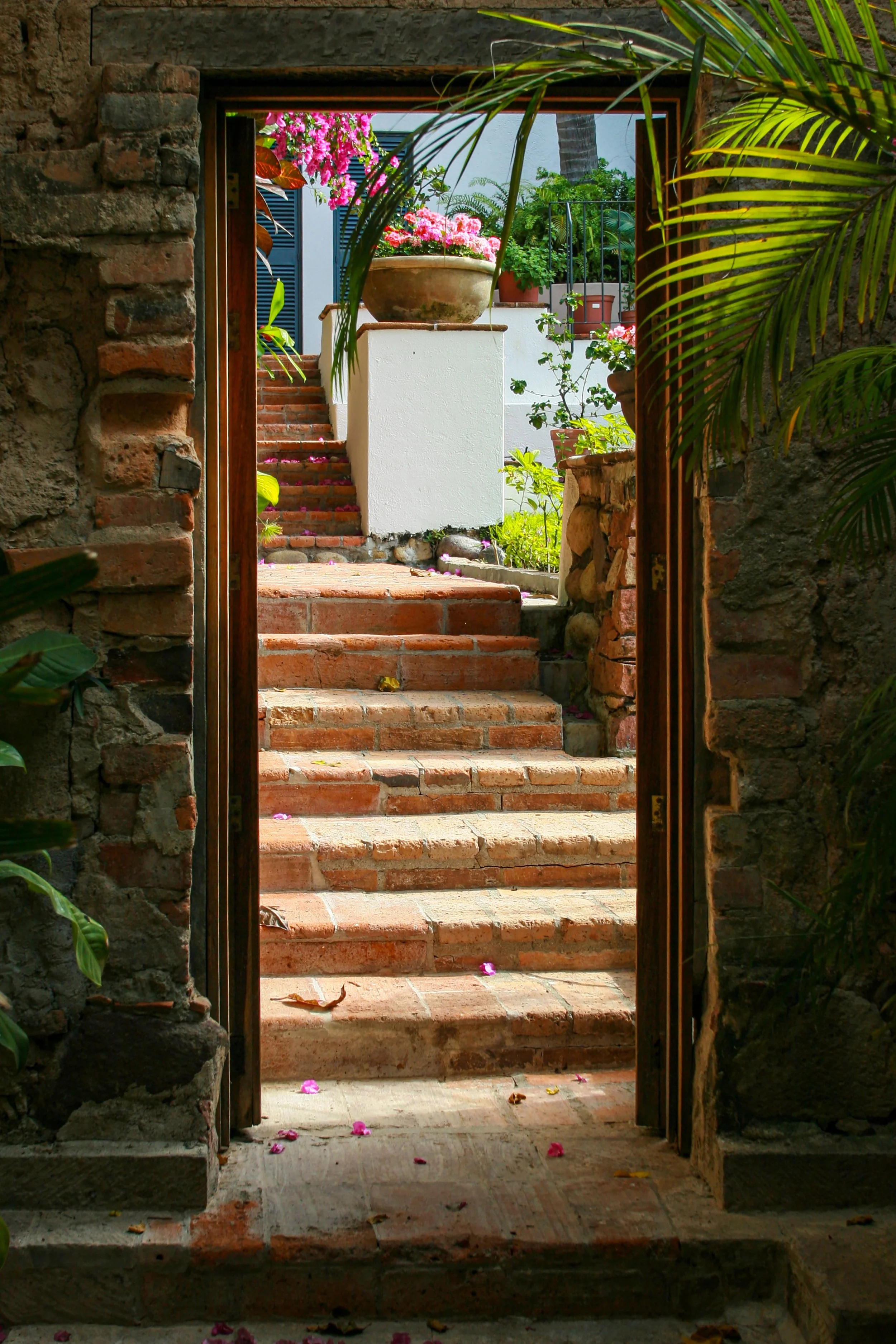 Puerto Vallarta Botanical Garden
