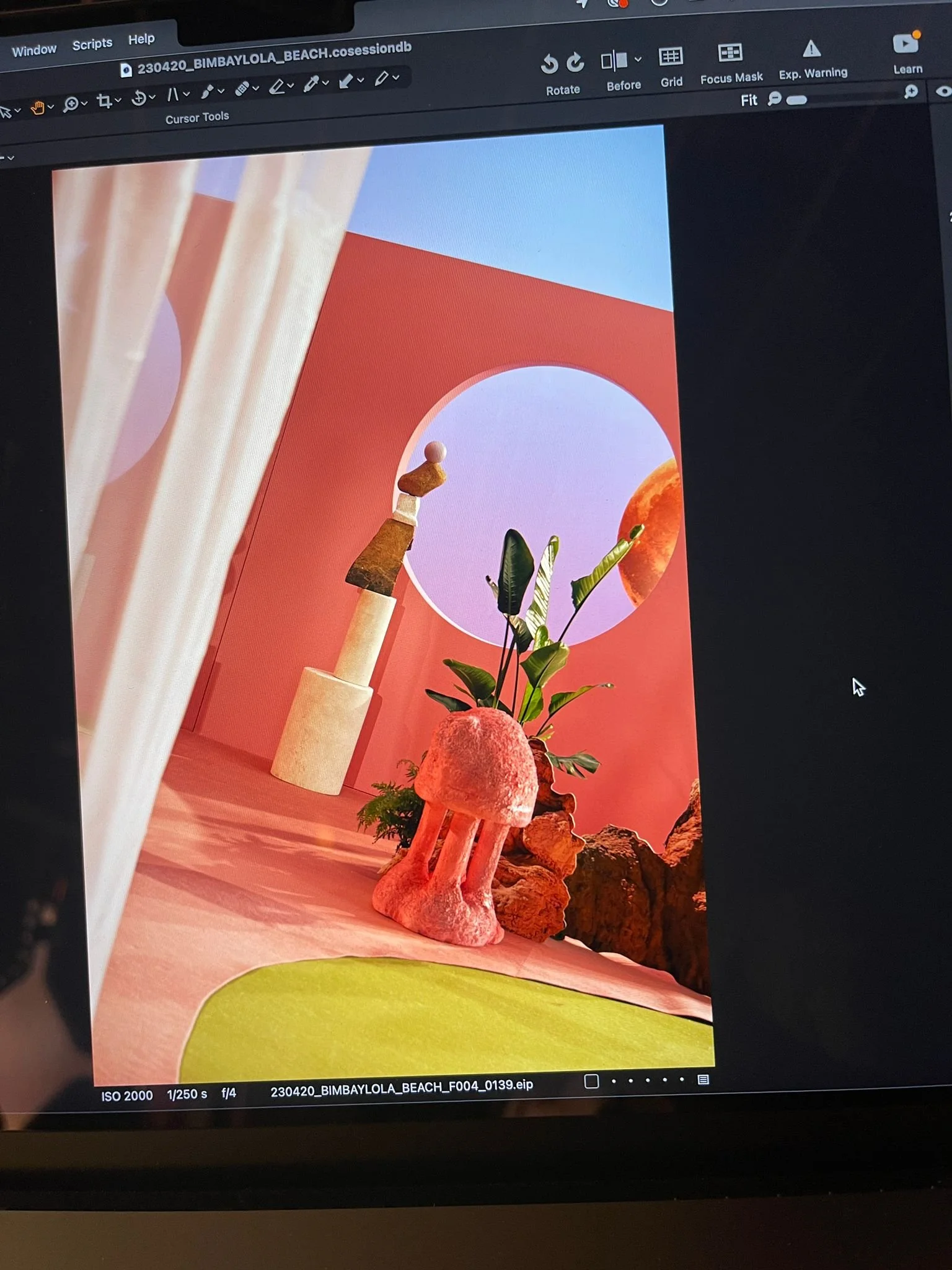 Photo of a digital art scene with a pink wall, a circular window showing a purple sky and moon, a green plant, pink plush mushroom-shaped stool, rocks, and a green rug.