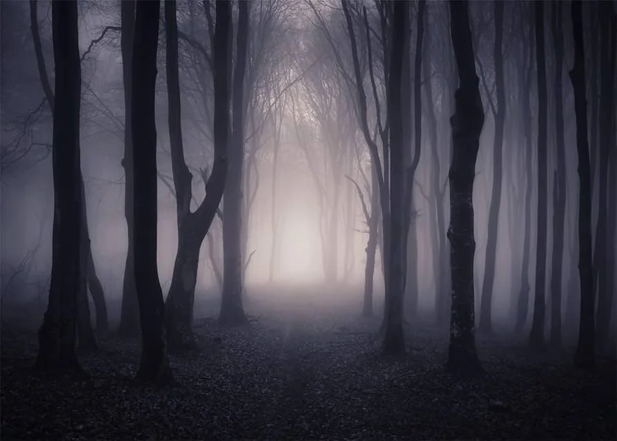 Hide and seek forest