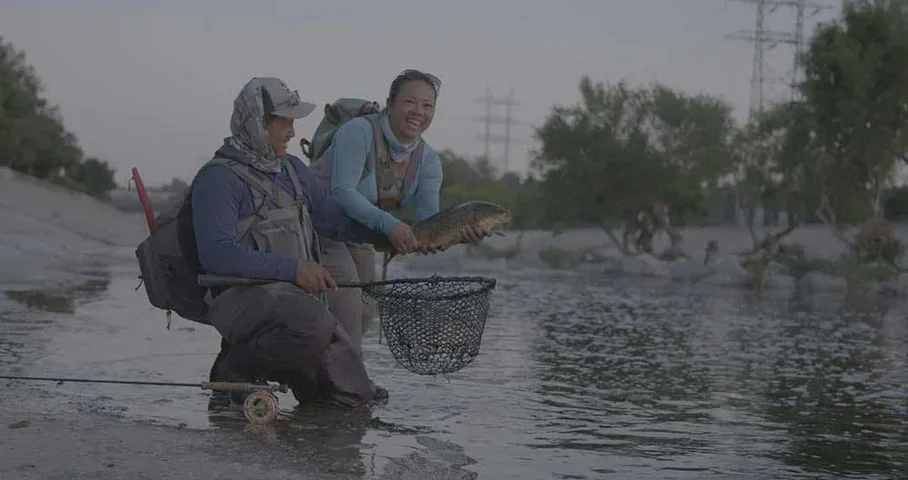 Screen-Shot-2022-04-19-at-1.42.webp
