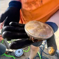 Magnet Fishing 2.webp
