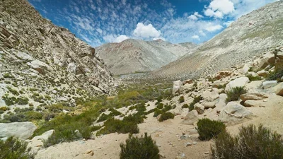 Elqui-Valley.webp