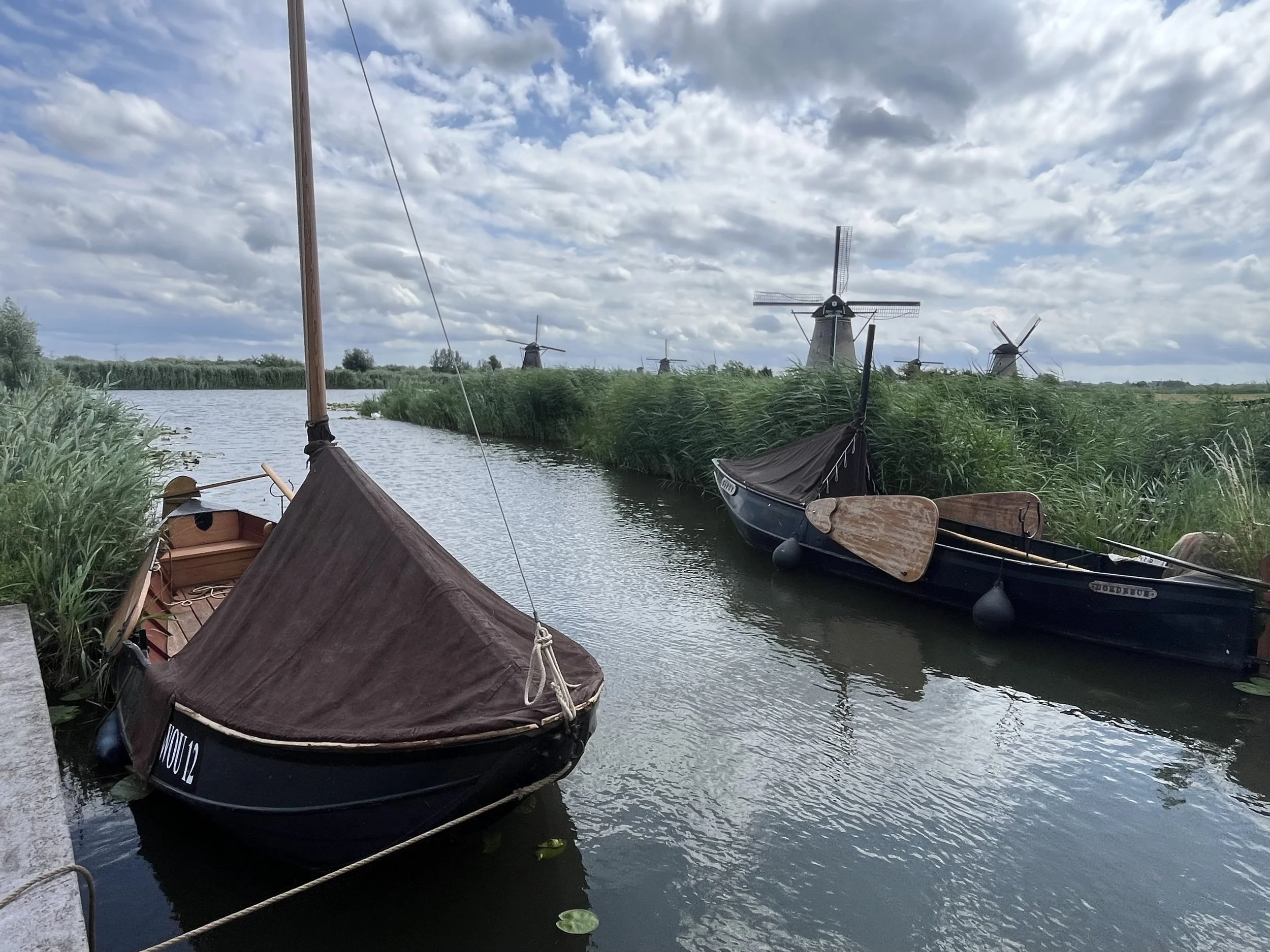 Kinderdijk.jpeg
