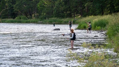 GroupFishing_1.webp