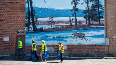 Mural_2.webp