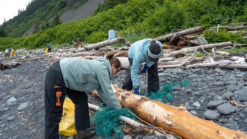Montague Island AK GoAK-03.webp