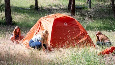 Tents_11.webp