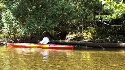 Cedar-River-Cleanup.webp