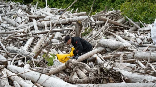 Montague Island AK GoAK-12.webp