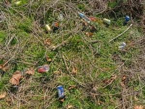 RaL-iJamsDow-2025CleanUp-52.webp