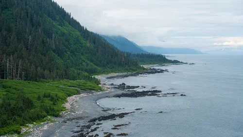 Montague Island AK GoAK-17.webp