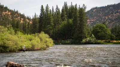 KellenFishing_1.webp