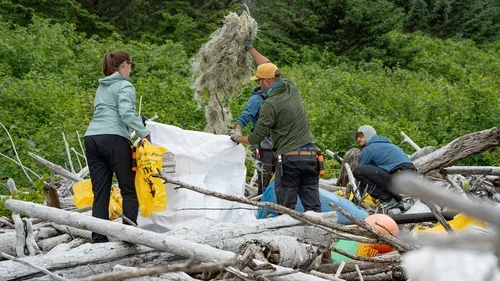 Montague Island AK GoAK-09.webp