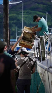 Unloading-Boat.webp