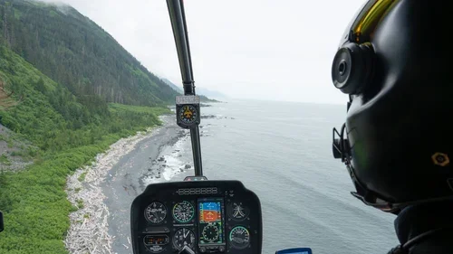 Montague Island AK GoAK-13.webp