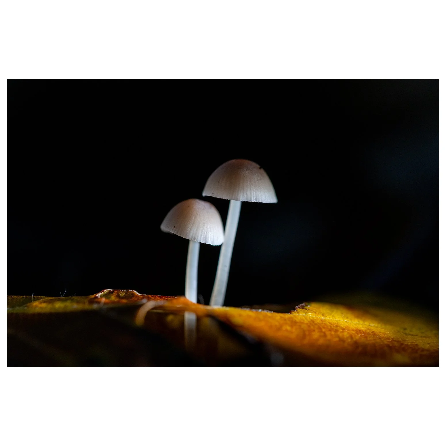 Same scene, different lighting...