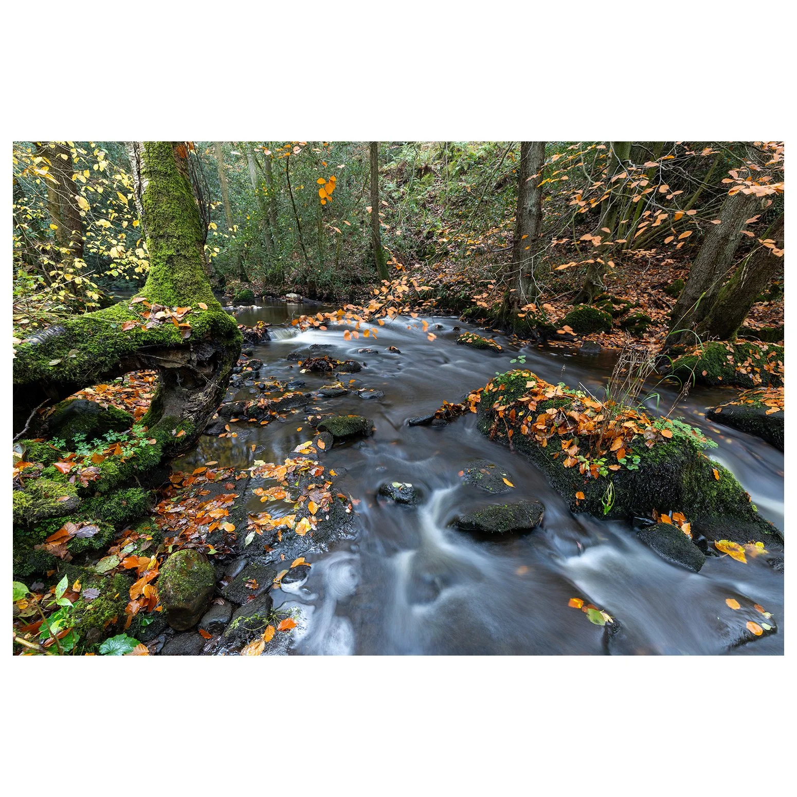 Autumn Woods &amp; Falls Workshop highlights from one of Yorkshire's hidden gems. 

 @visitbradford