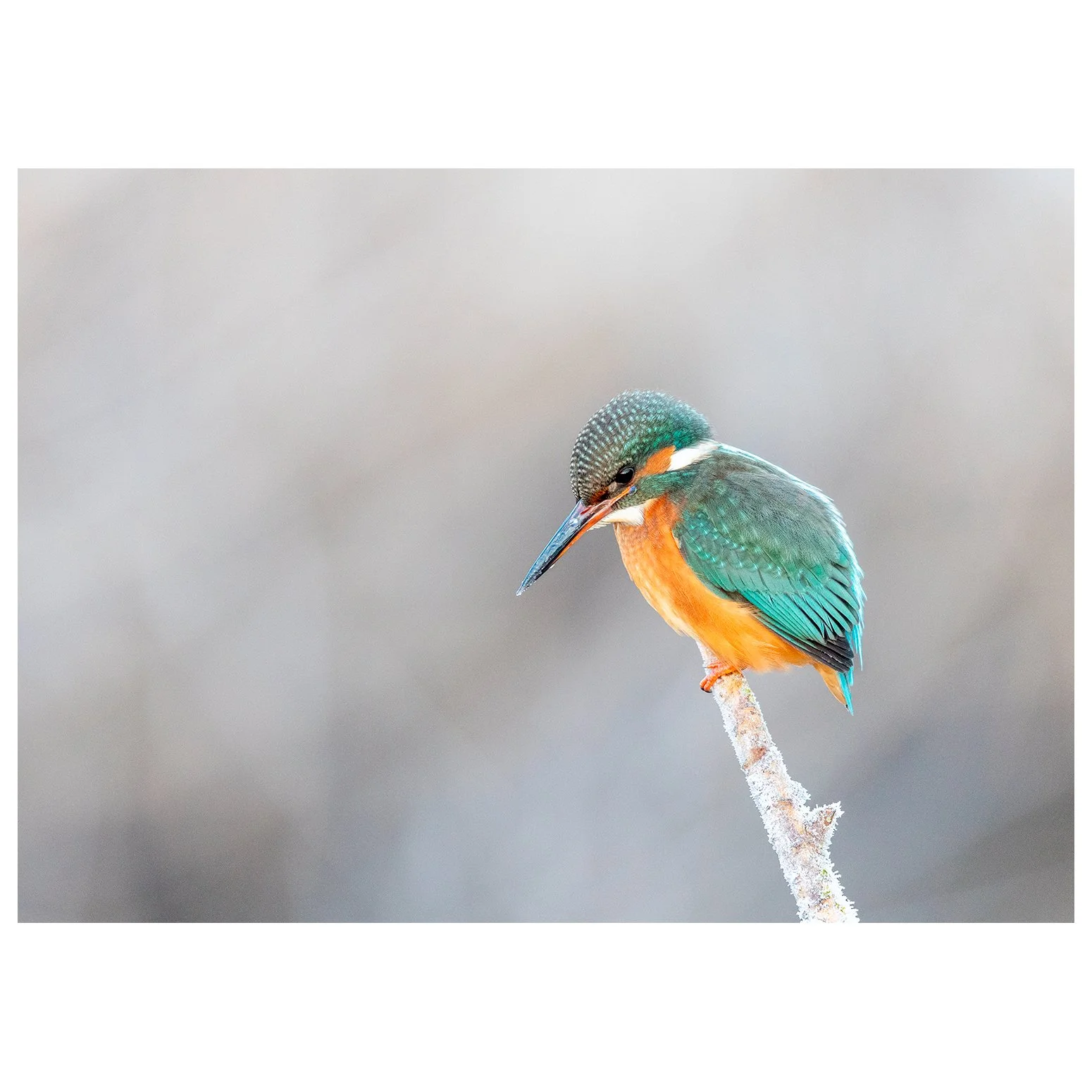 Whether you're embracing the new year with optimism or battling the January blues, Walking Photography is kicking off 2026 with a month packed full of events to keep you and your camera inspired! 

This Sunday (4th Jan) - Open Studio - Free - Drop in