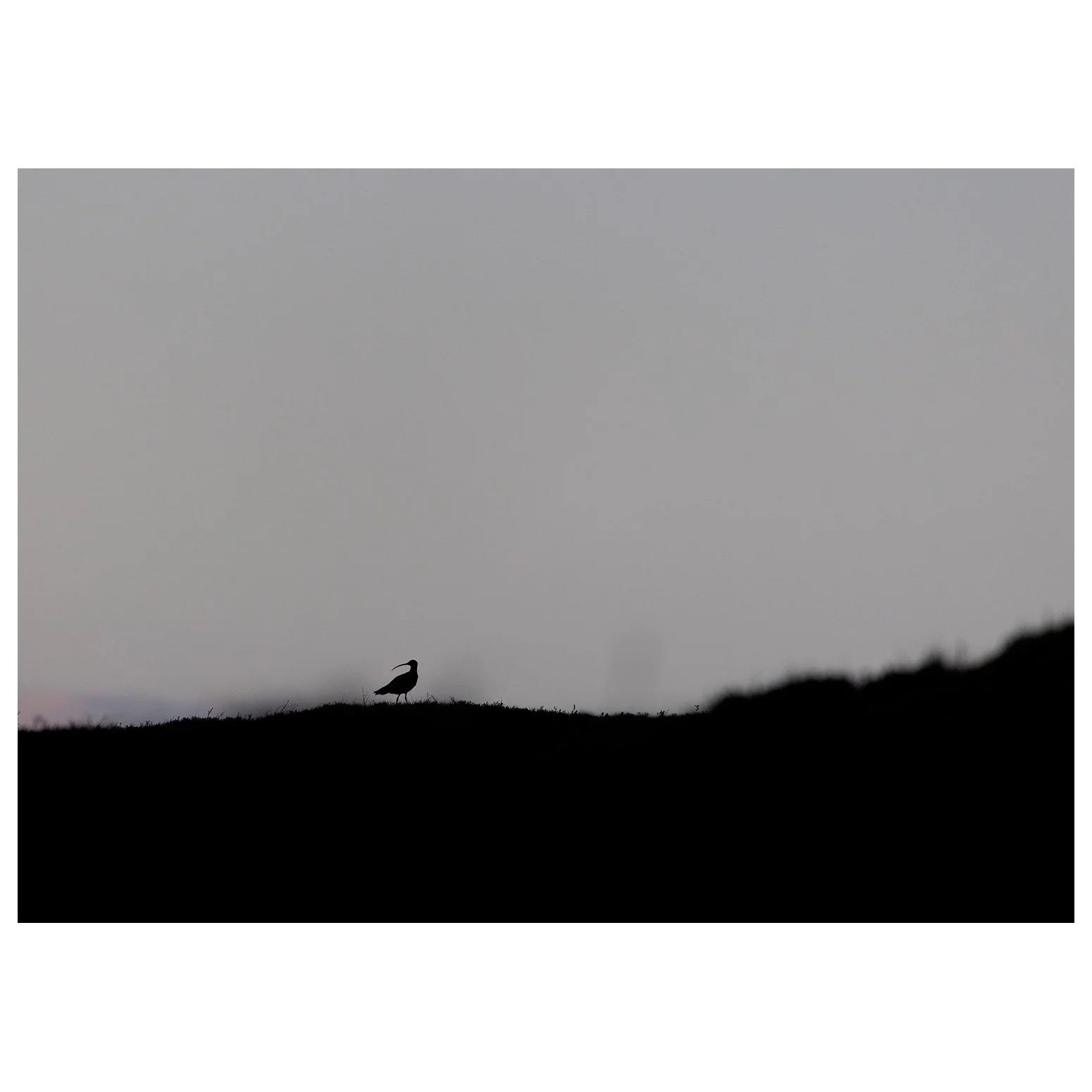 Do you leave your camera behind on the dull, grey days? 

📽 Please take a gander at my new Youtube (Walking Photographer) video with 5 themes to explore when the light is "flat". Let me know what you think, what over videos you'd like to s