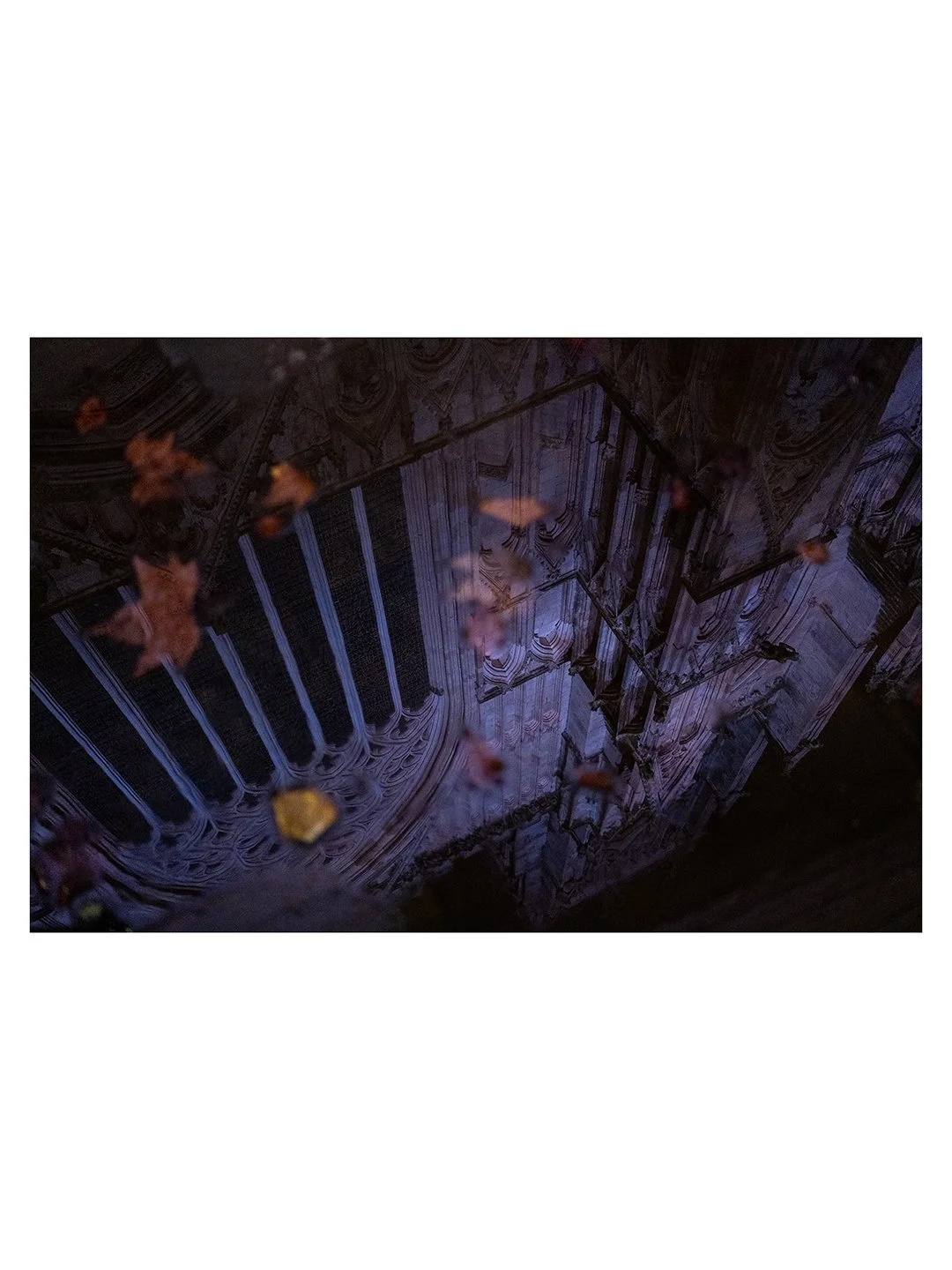 Missed the February newsletter? 
You can find ideas, inspiration and  tips for taking photos with any camera this month here... https://walking.photography/blog/finding-focus-in-february-4-ideas-for-any-camera (or via my profile on insta)