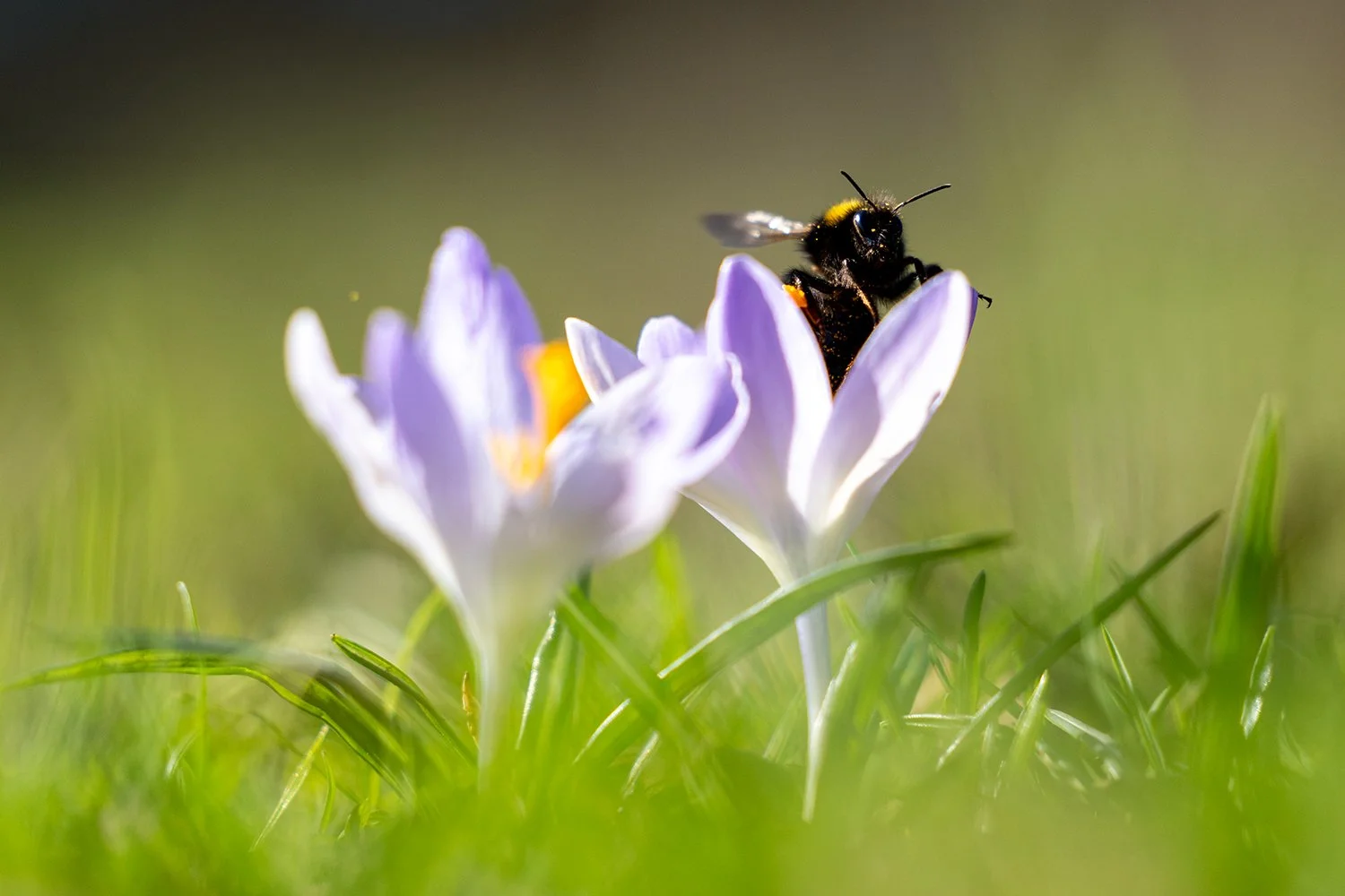 Emerging in March: Photography Ideas &amp; Inspiration for the Month