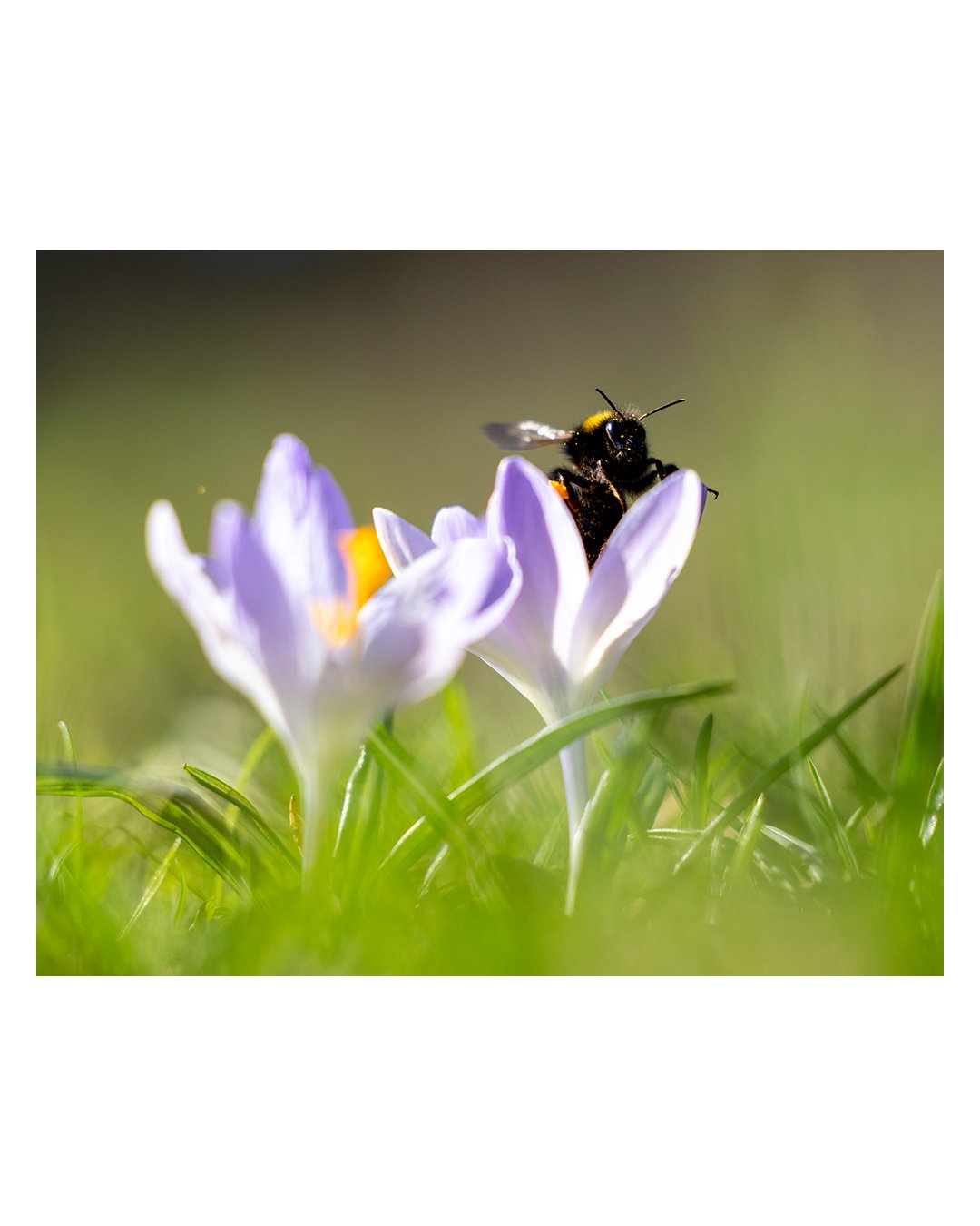 Emergence. Your March newsletter and blog post is out now!
Visit the News &amp; Tips link in my profile.