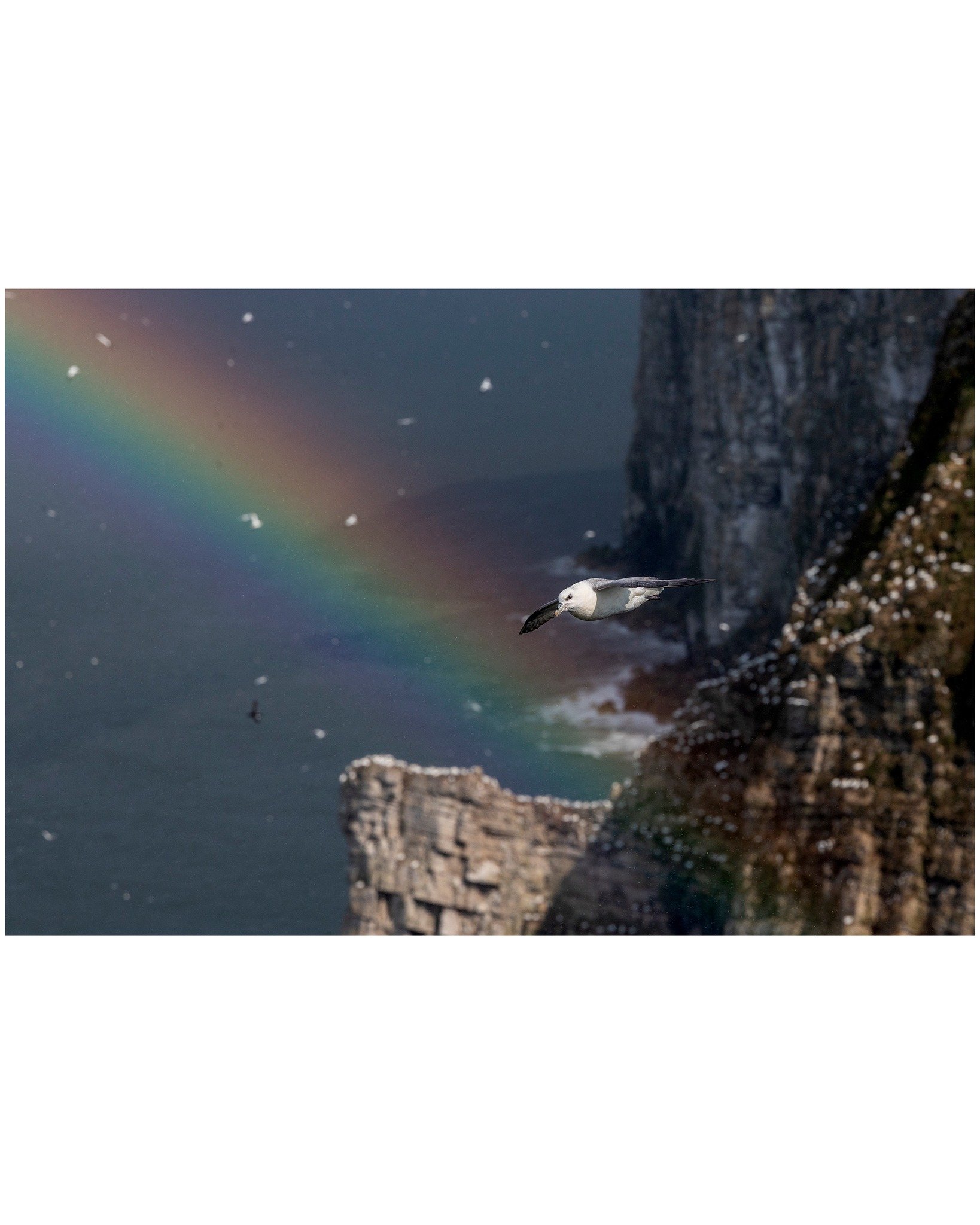 While March was about the first signs of emergence, April is a month of dramatic shifts. We move from heavy rain showers to piercing sunlight in the space of minutes&mdash;a photographer's playground if you know how to work with it! Whether you&rsquo