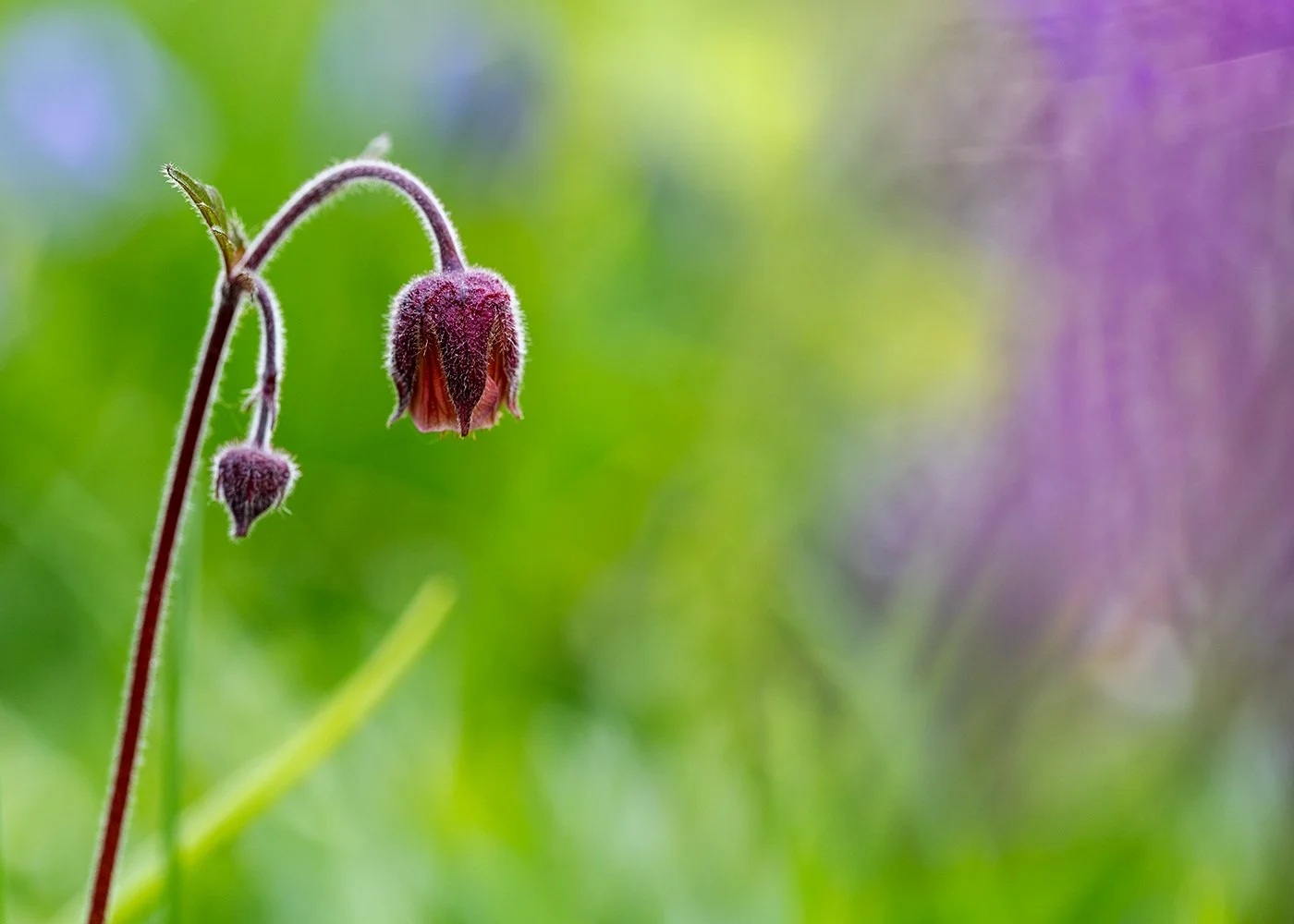 May Photography Tips: Life in Full Colour