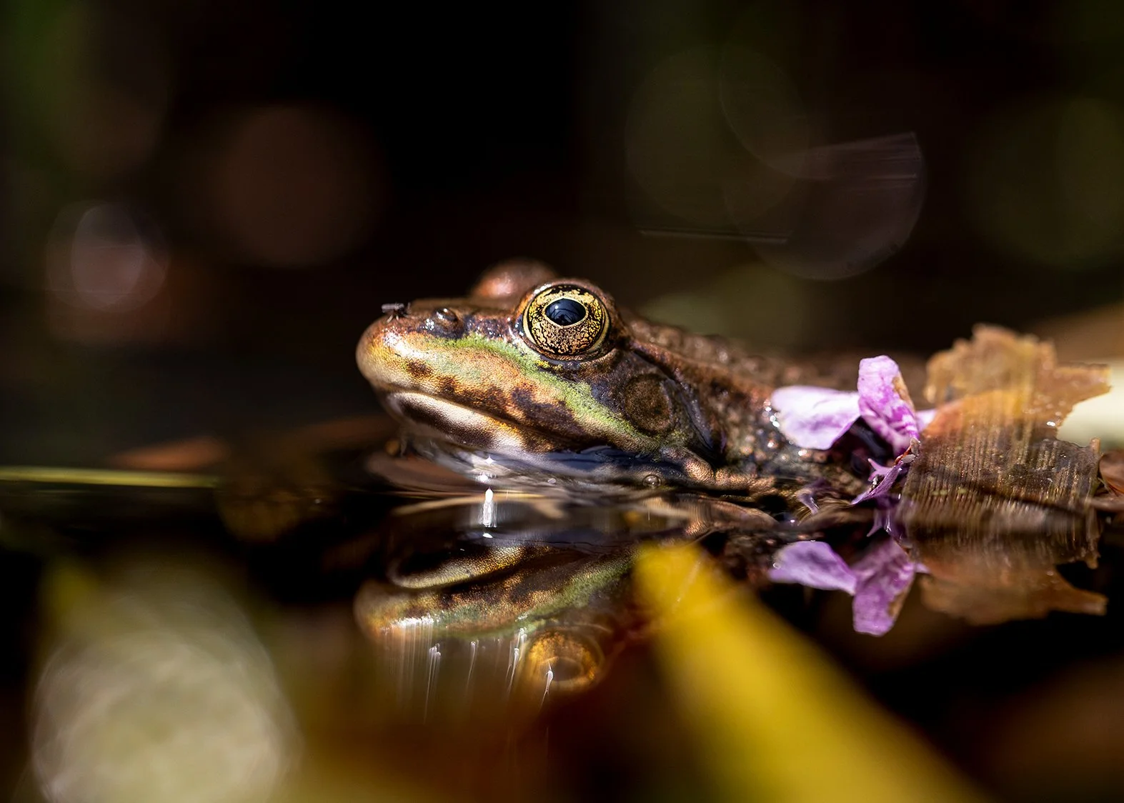 Photography in a Heatwave: Keeping Cool, Creatively