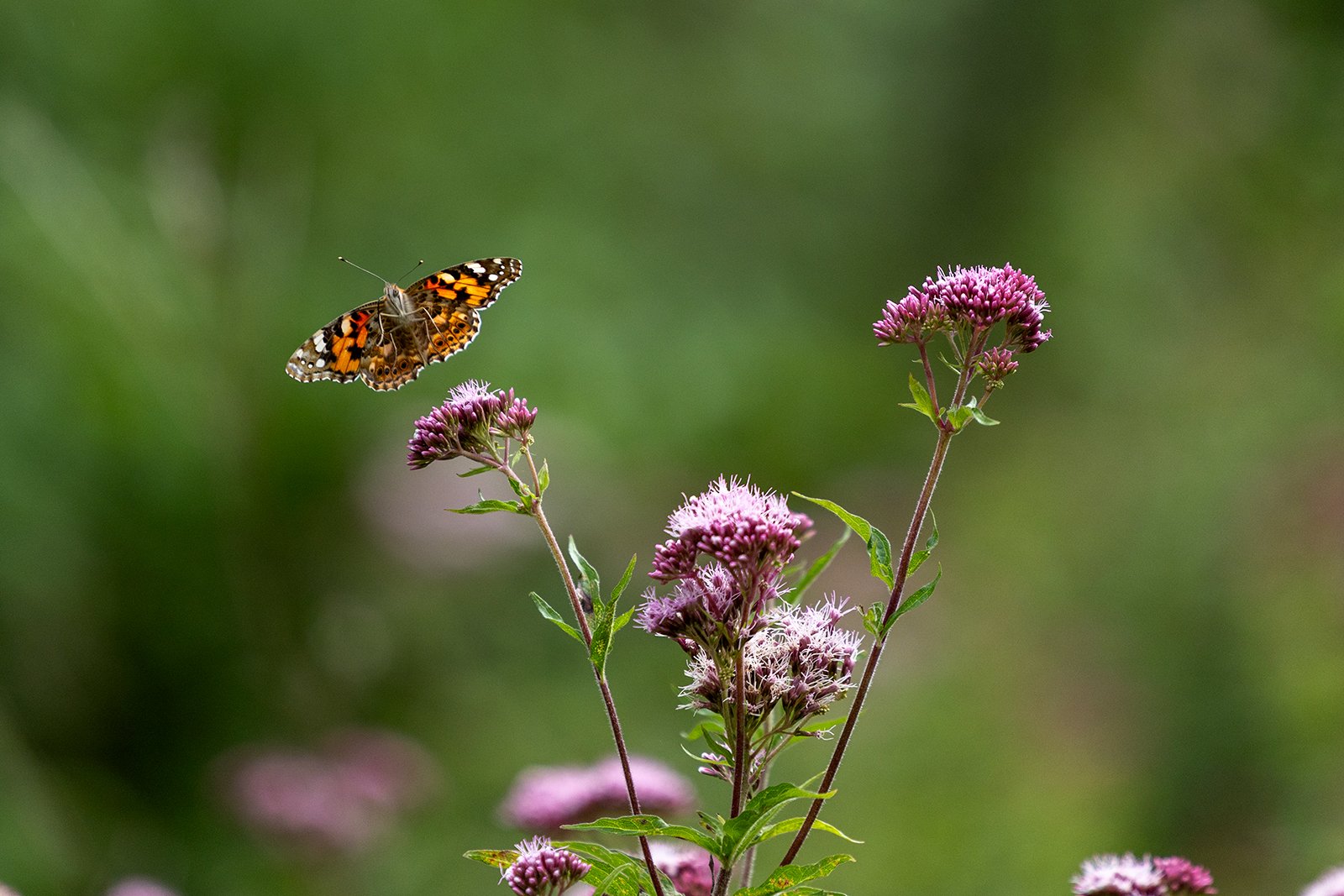 July Photography Tips: The Quiet Month That Isn't