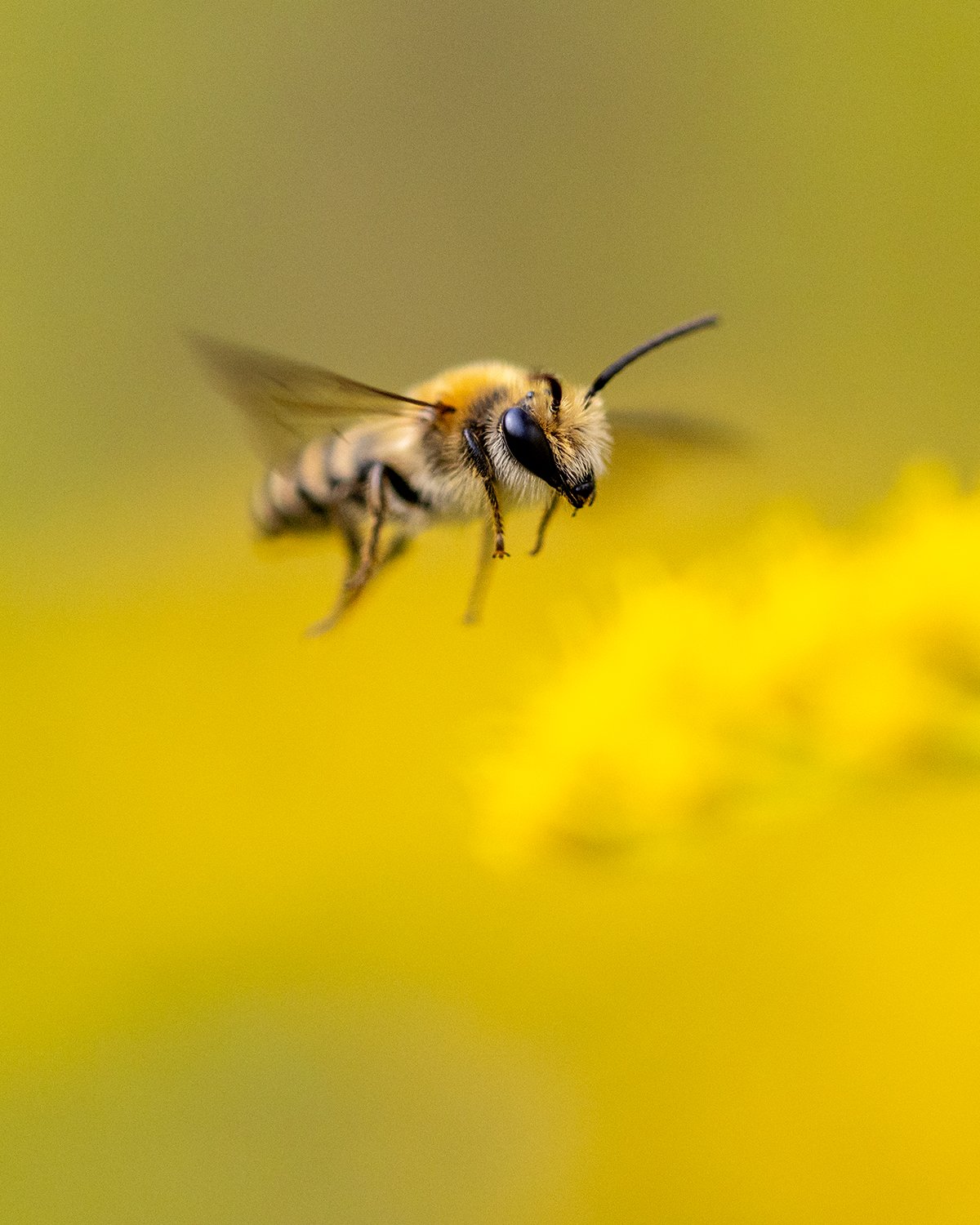 September Photography Tips: Less Is More?