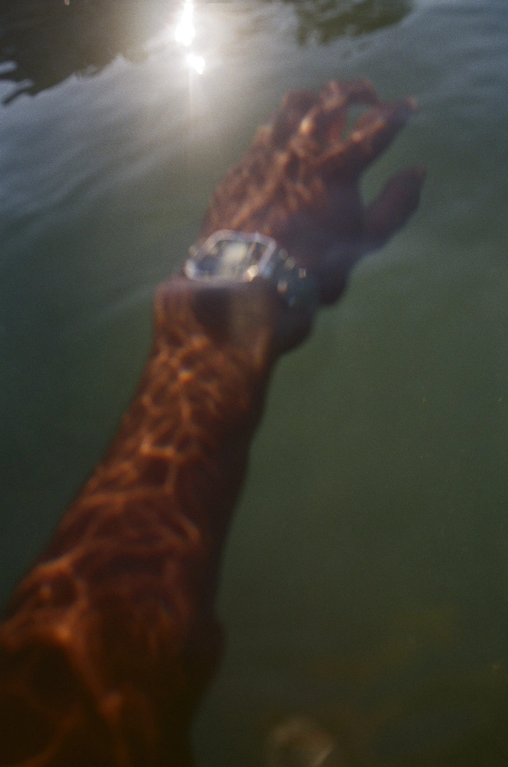 icirepose-10.jpg