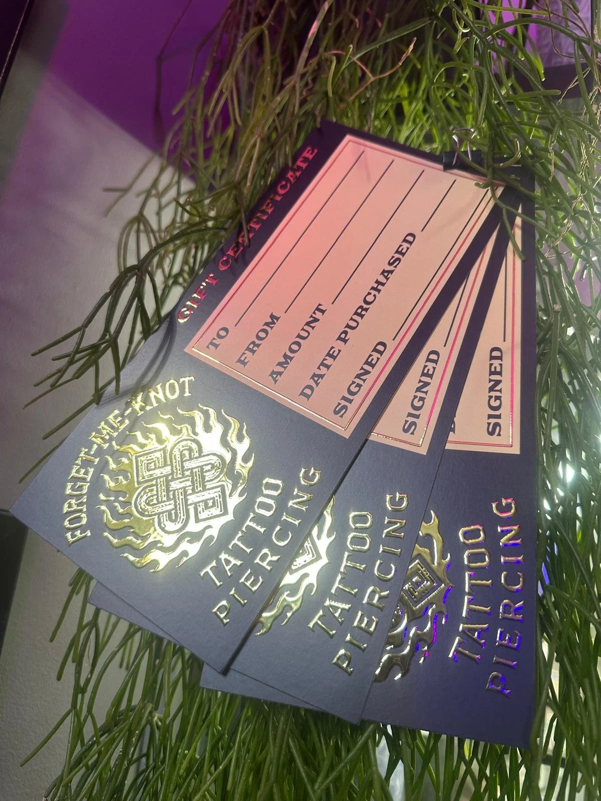 WhatsApp Image 2025-12-15 at 14.08.30(3).jpeg