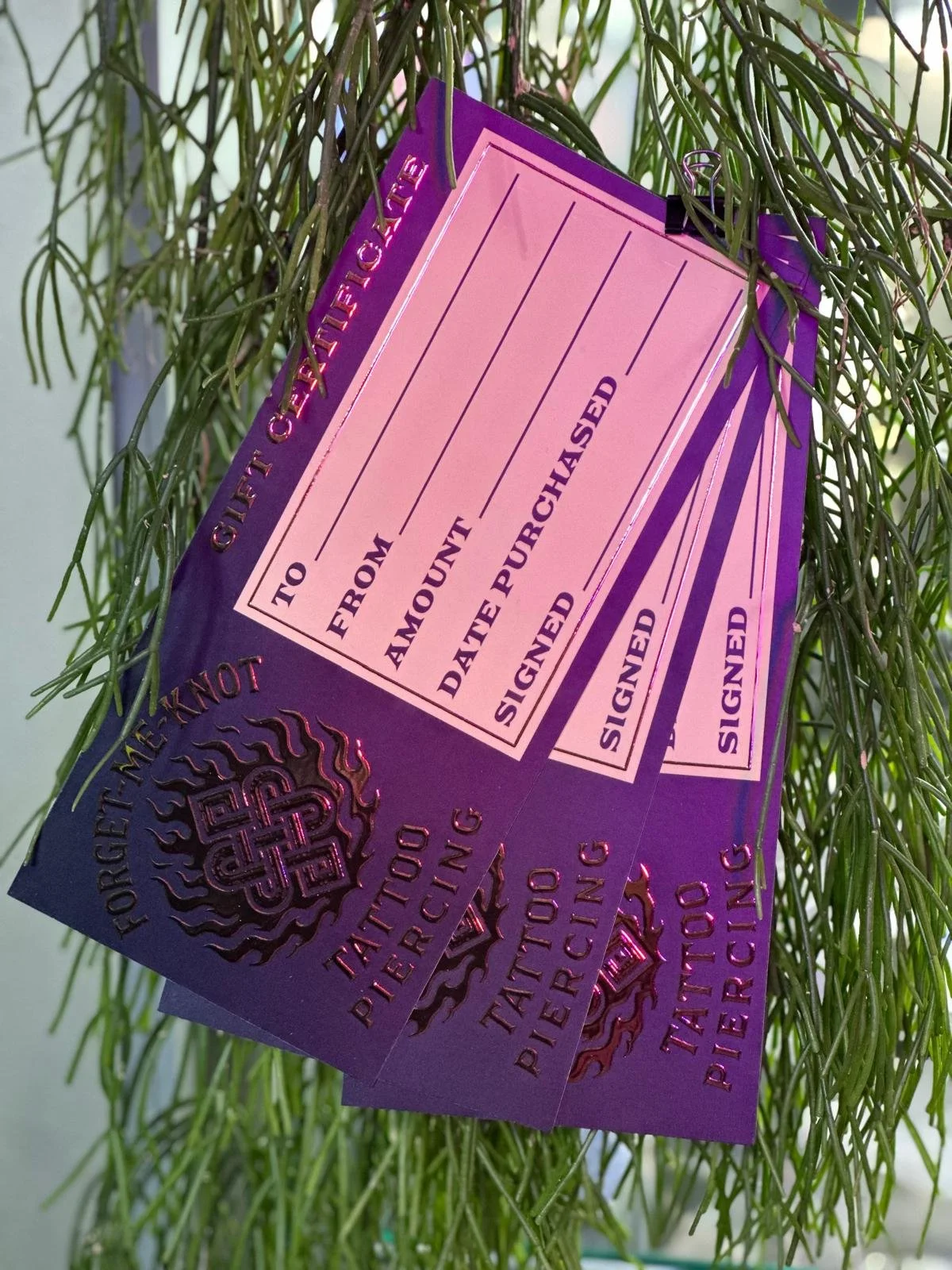 WhatsApp Image 2025-12-15 at 14.08.30.jpeg