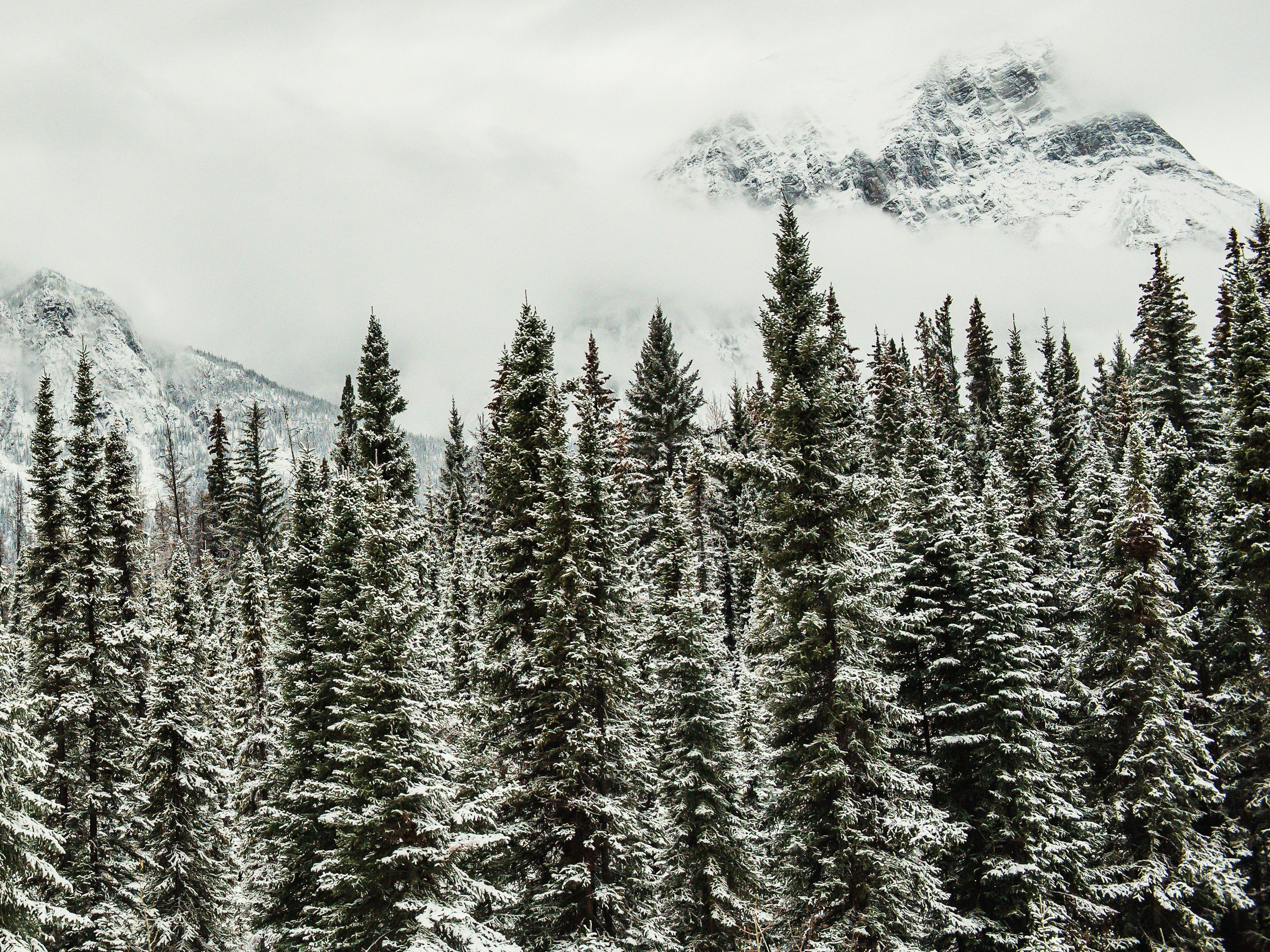 March 2026 Financial Market Update