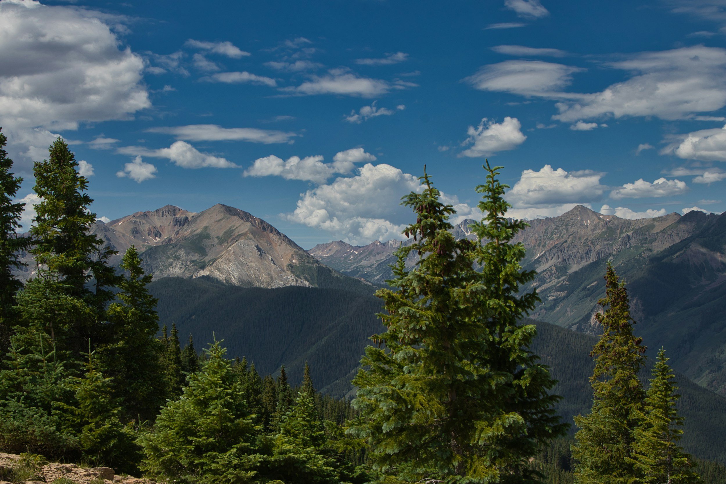 June Market Update: A Resilient Economy Navigating Nervous Markets
