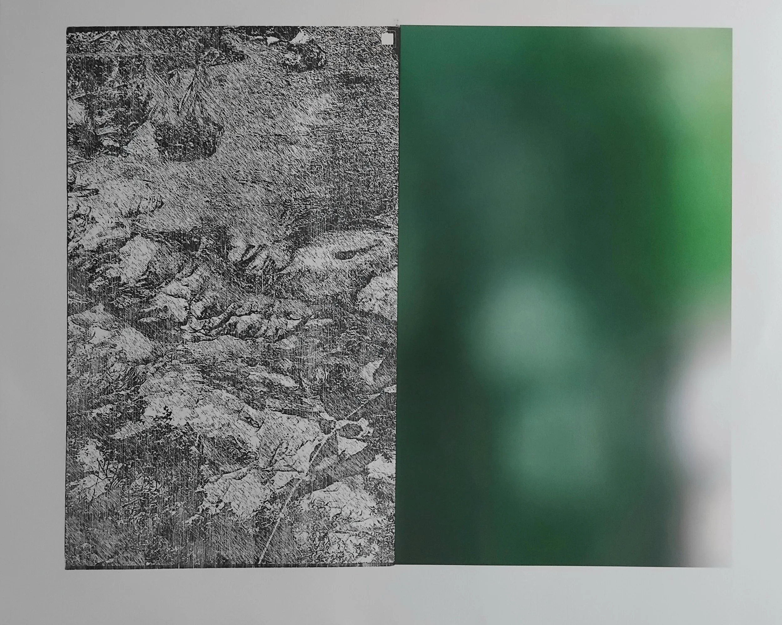 Untitled 1 (dyptych from Caiseal Chaoilte, Forest series in progress), Digital print (archival ink) and laser-engraved woodblock on Hahnemühle Archival Rag Paper, Image size 50 x 60cm, Paper size 63 x 92cm, 2025