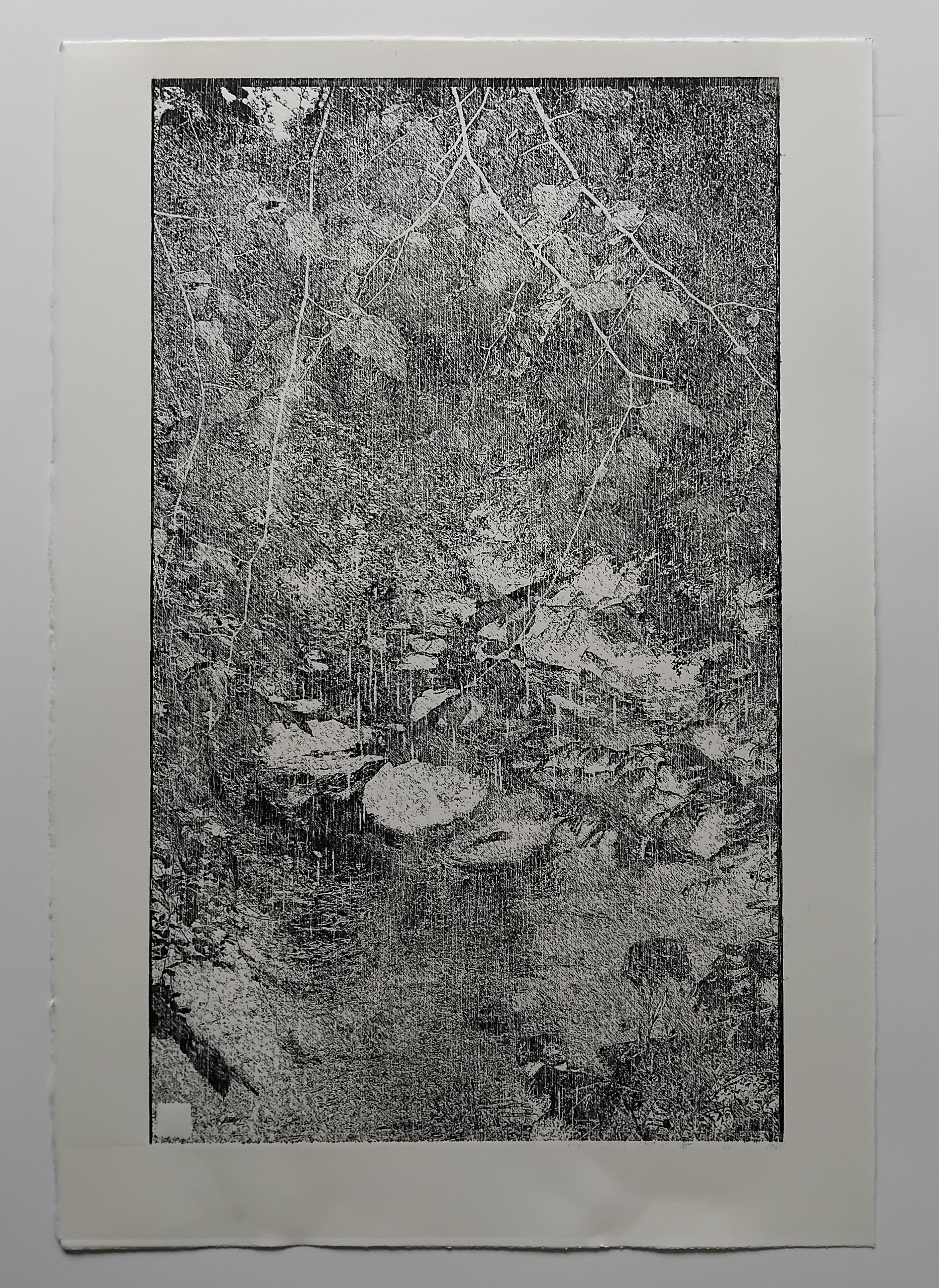Untitled 3 (from Caiseal Chaoilte, Forest series in progress), Laser-engraved woodblock on Fabriano Artistico 300gsm Paper, Image size height 49cm x width 29cm, Paper size height 56.5 x width 38.5cm. 