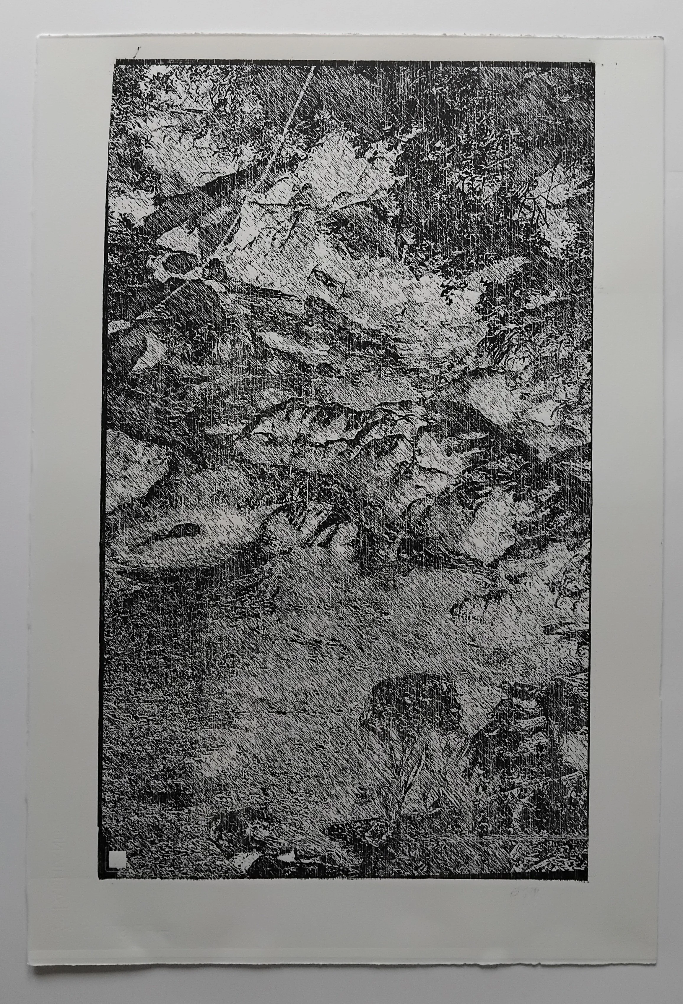 Untitled 2 (from Caiseal Chaoilte, Forest series in progress), Laser-engraved woodblock on Fabriano Artistico 300gsm Paper, Image size height 49cm x width 29cm, Paper size height 56.5 x width 38.5cm. 