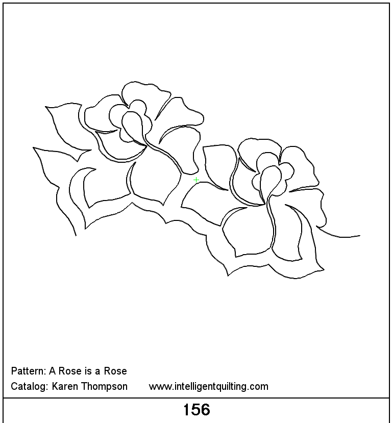 a rose is a rose close up.png