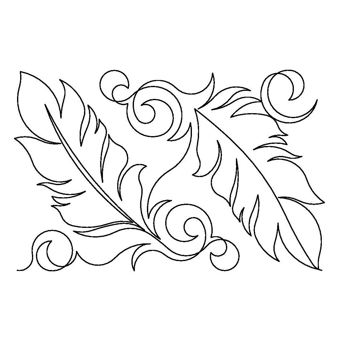 hawk-feathers-e2e__50461 close up.jpg