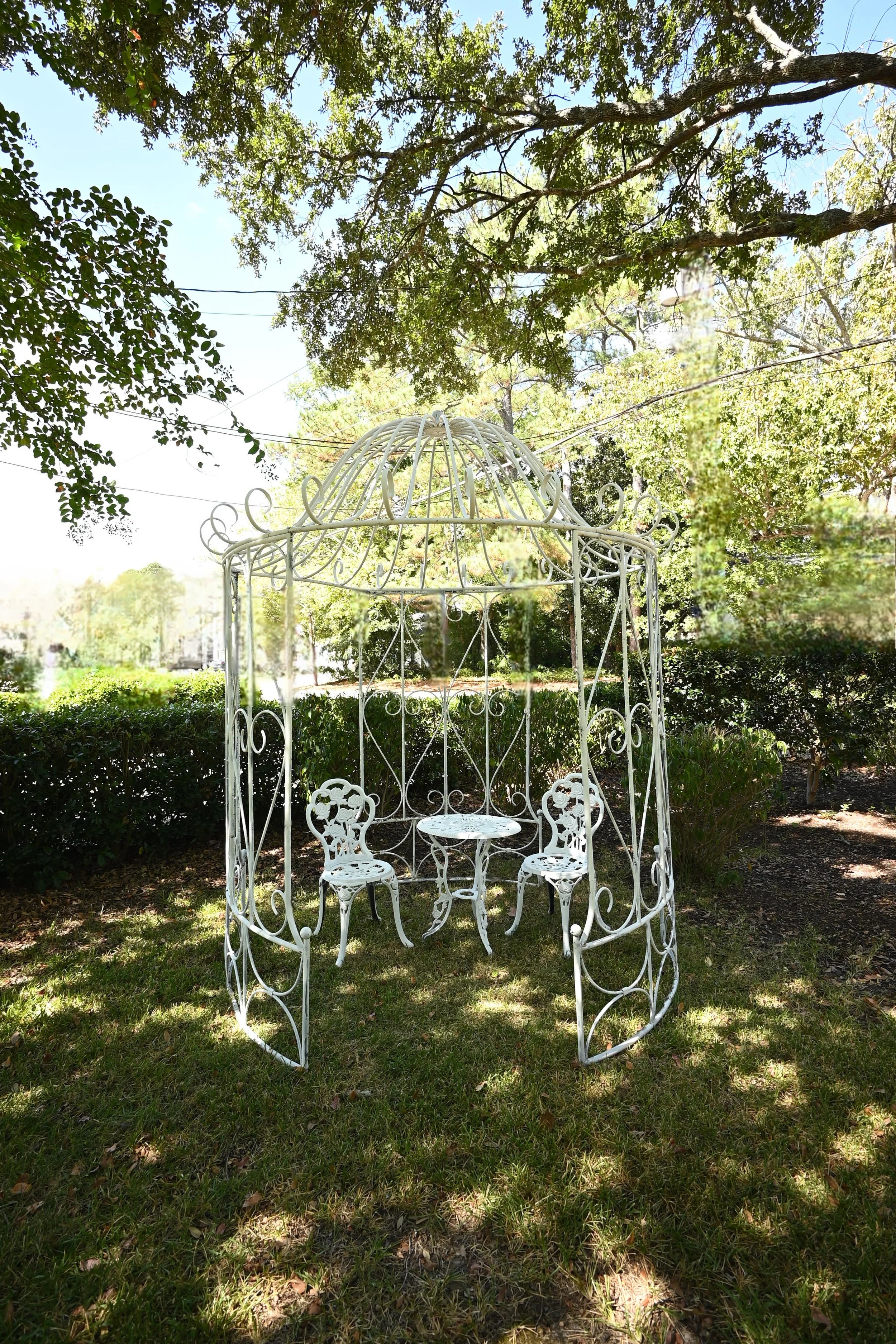 The Garden