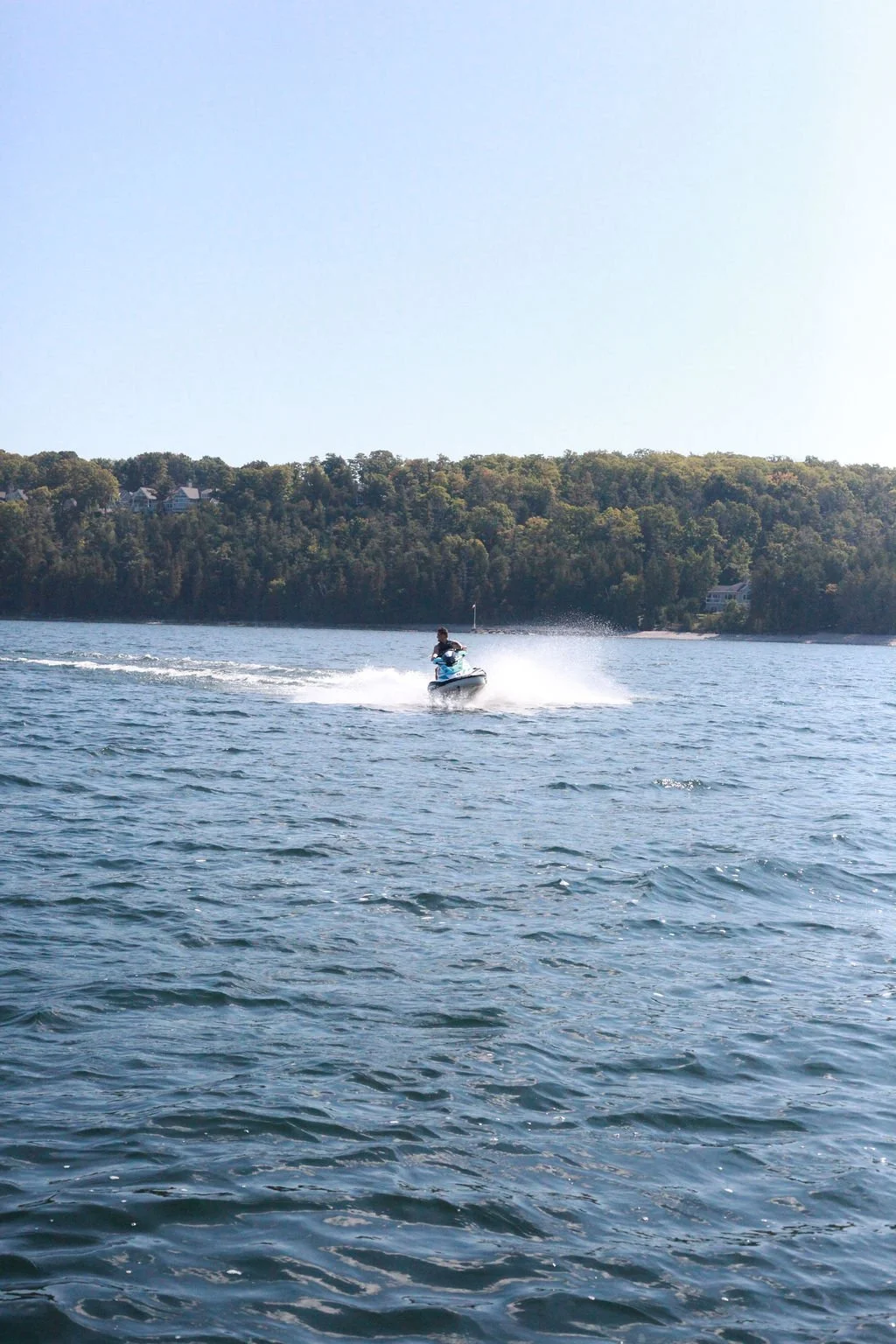 Person riding a jet ski on a body of water near a tree-covered shoreline under a clear sky.