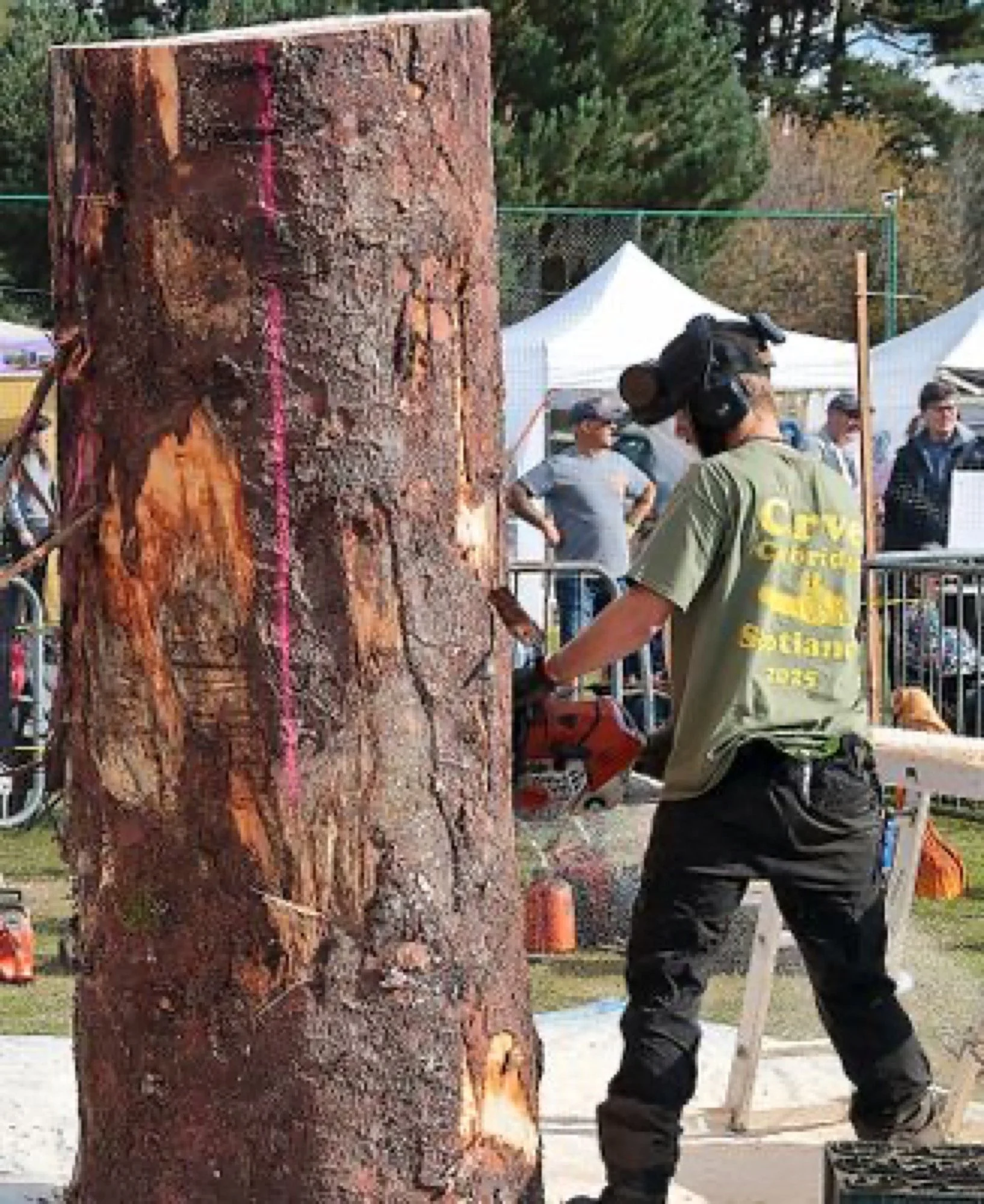 Kaspian Askham I Bespoke Chainsaw Carving I Wood sculpture I Carve Carrbridge carving competition 2025
