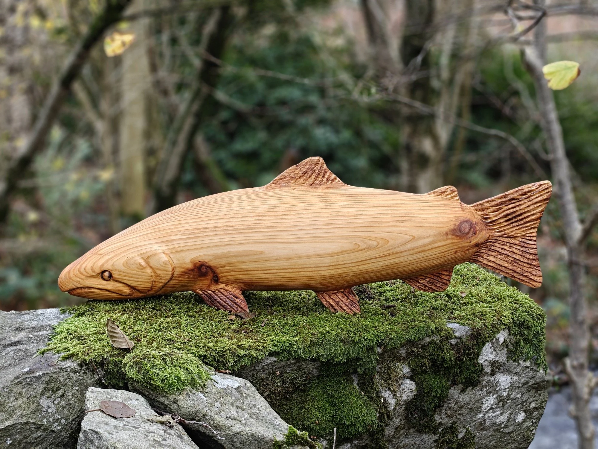 Kaspian Askham I Bespoke Chainsaw Carving I Wood sculpture I Octopus I Tree Stump I Commission I Swimming salmon