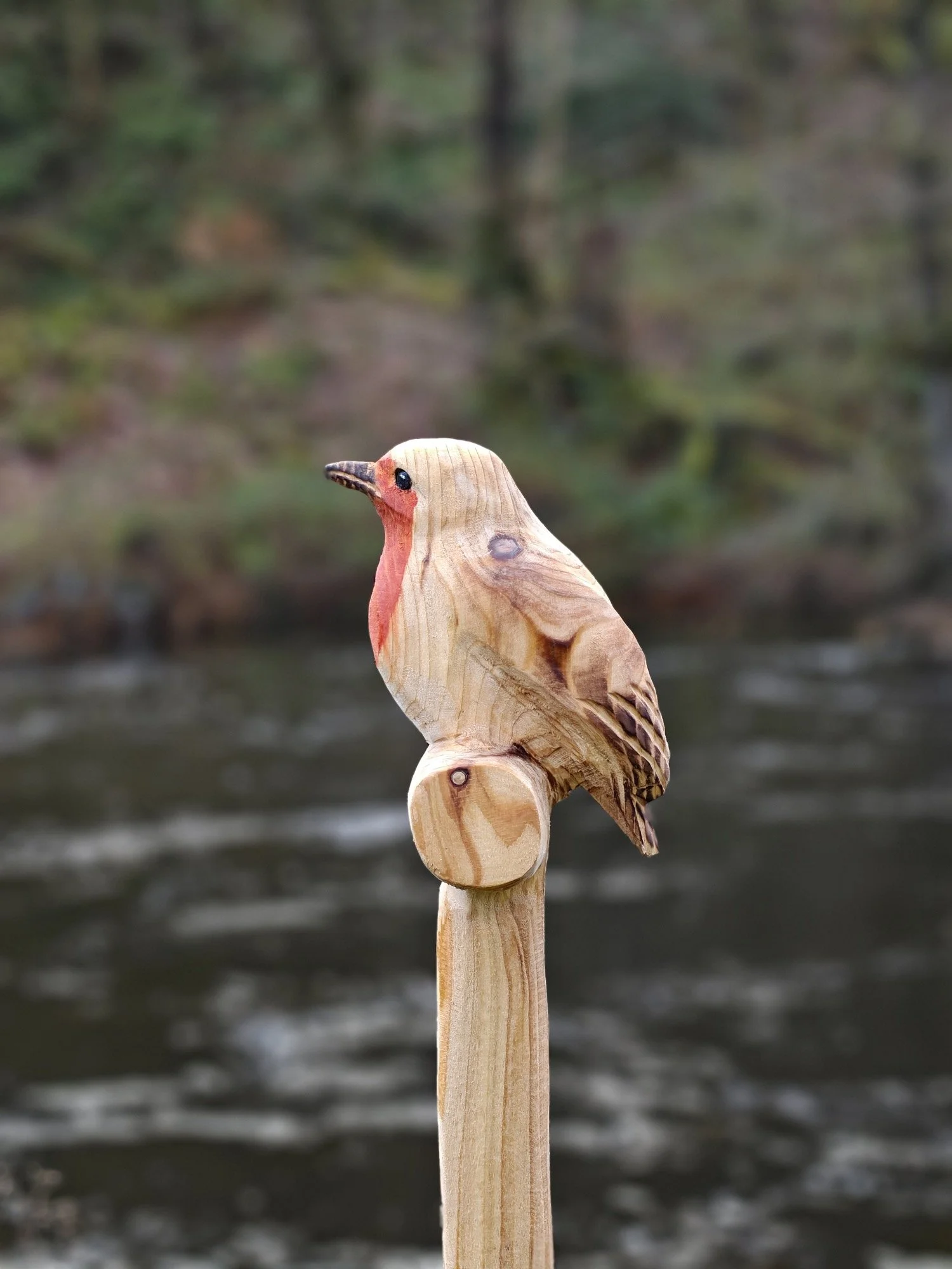 Kaspian Askham I Bespoke Chainsaw Carving I Wood sculpture I Robin
