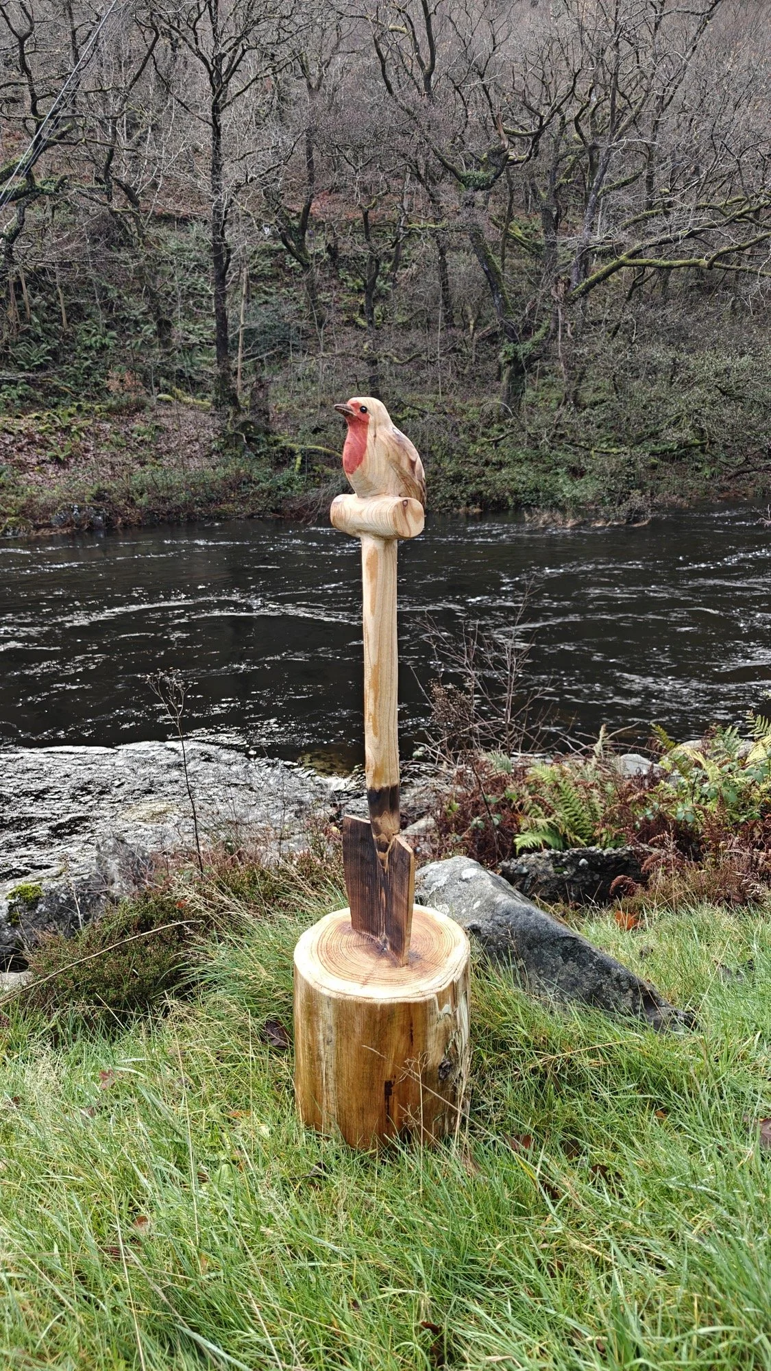 Kaspian Askham I Bespoke Chainsaw Carving I Wood sculpture I Robin
