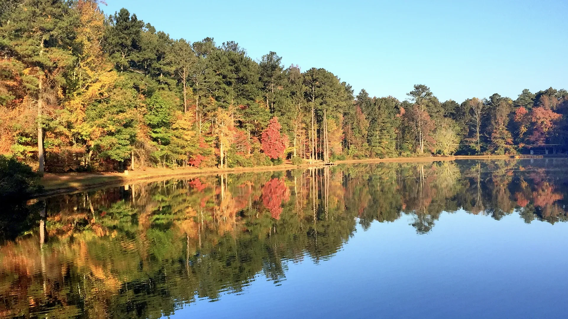 Calm lake with trees reflecting in the water, showcasing fall foliage in various shades of green, red, and yellow under a clear blue sky.